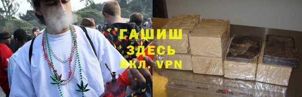 стаф Верея