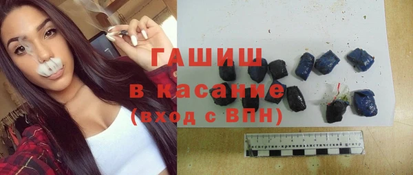 стаф Верея