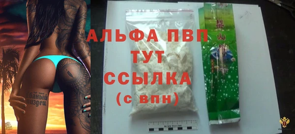 стаф Верея