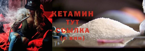 стаф Верея
