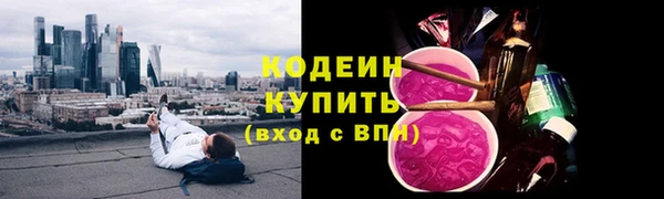 стаф Верея