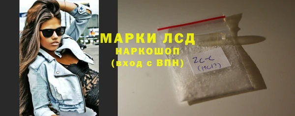 стаф Верея